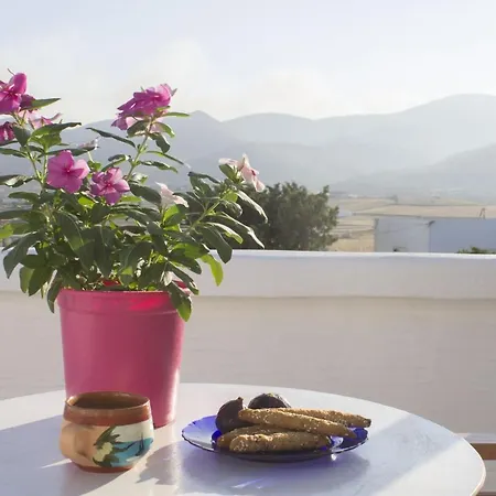 Lovely & Traditional House In Paros Apartment